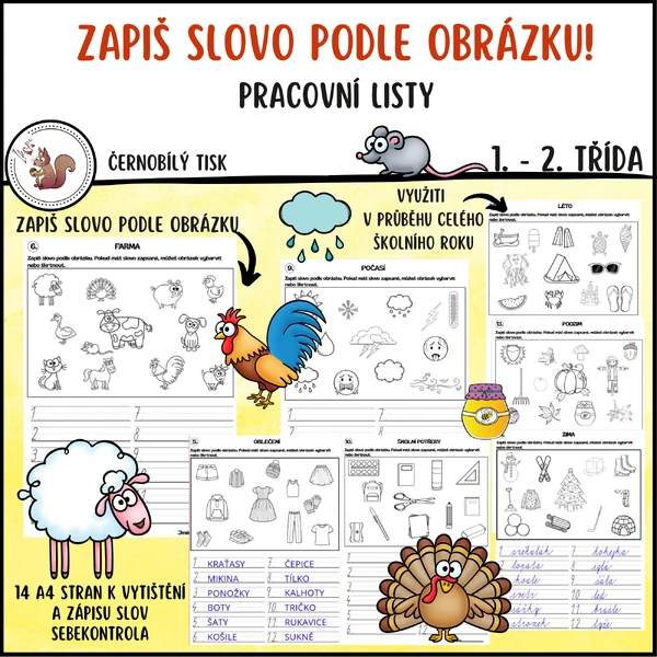 Zapiš slovo podle obrázku!