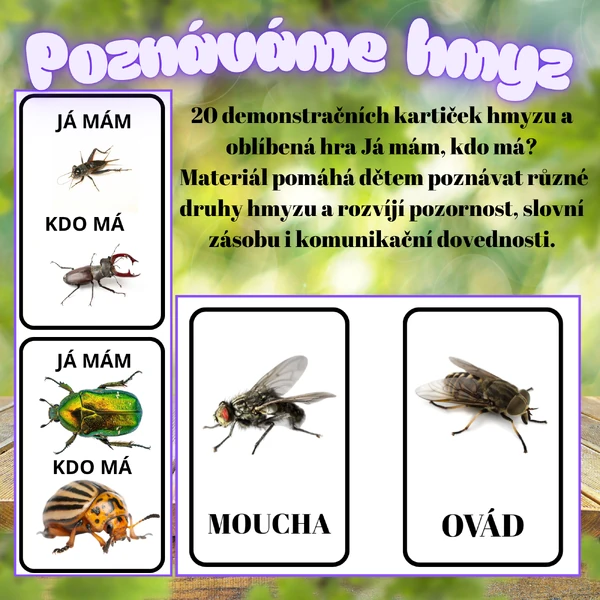 Poznáváme hmyz – demonstrační kartičky + hra Já mám, kdo má? 🐞🐝