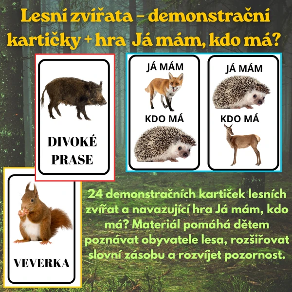 Lesní zvířata – demonstrační kartičky + hra Já mám, kdo má? 🌲🦉