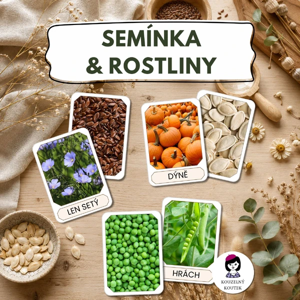 Semínka a rostliny | Třídící hra | Montessori | Reggio Emilia 