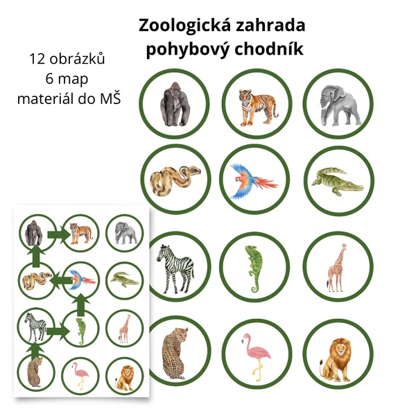 Zoologická zahrada pohybový chodníček 🦛🐒🦍