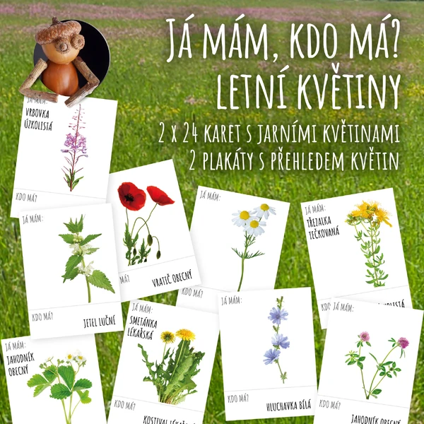 Letní květiny - já mám, kdo má?
