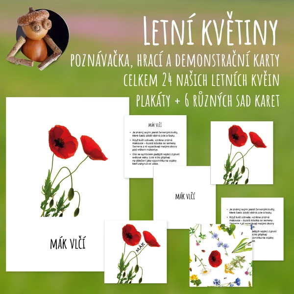 Letní květiny - poznávačka, hrací a demonstrační karty
