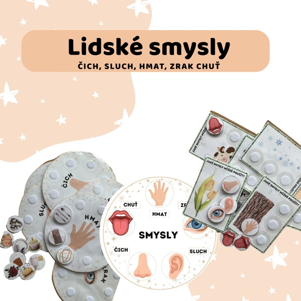 Lidské smysly