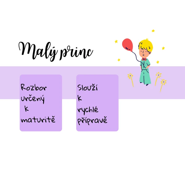 Rozbor Malý princ k maturitě