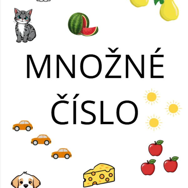 Množné číslo 