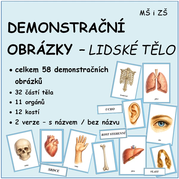 LIDSKÉ TĚLO - demonstrační obrázky