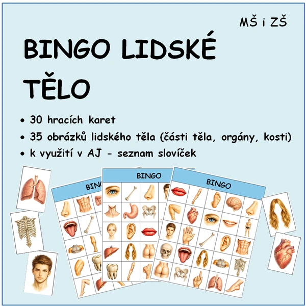 BINGO LIDSKÉ TĚLO