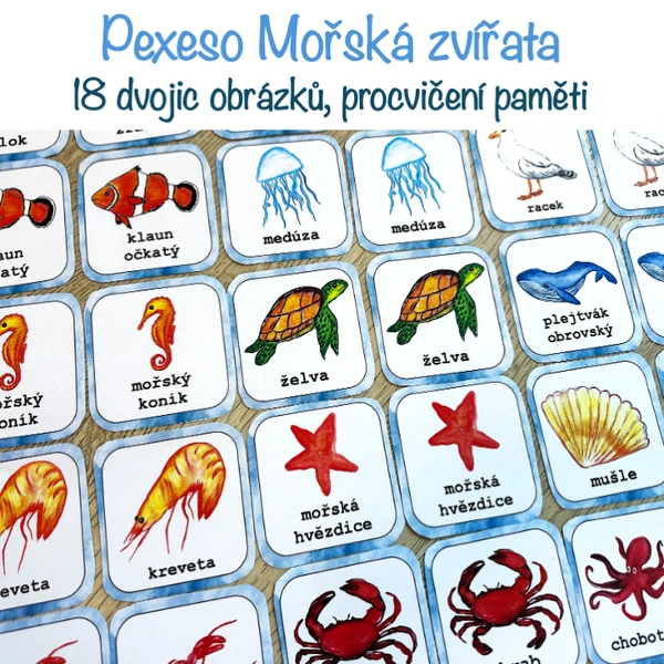 Pexeso - Mořská zvířata