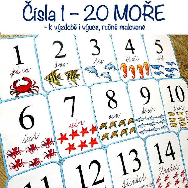 Čísla 1 - 20 Moře/Mořská zvířata