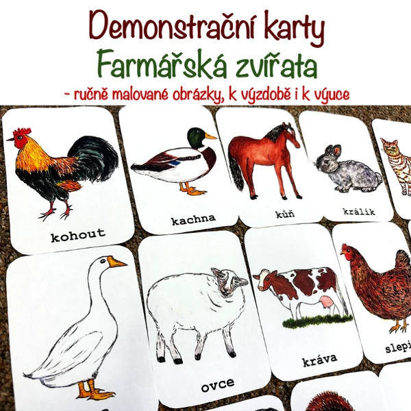 Farmářská zvířata - Demonstrační karty 