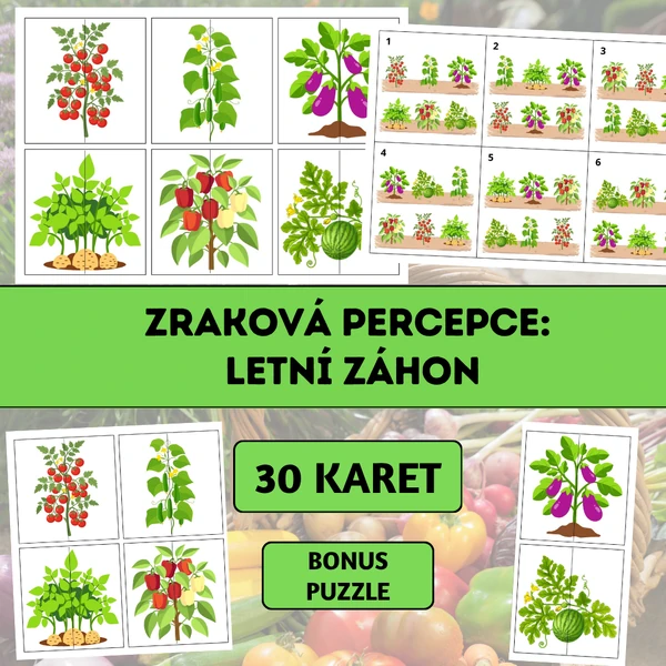 Zraková percepce: Letní záhon