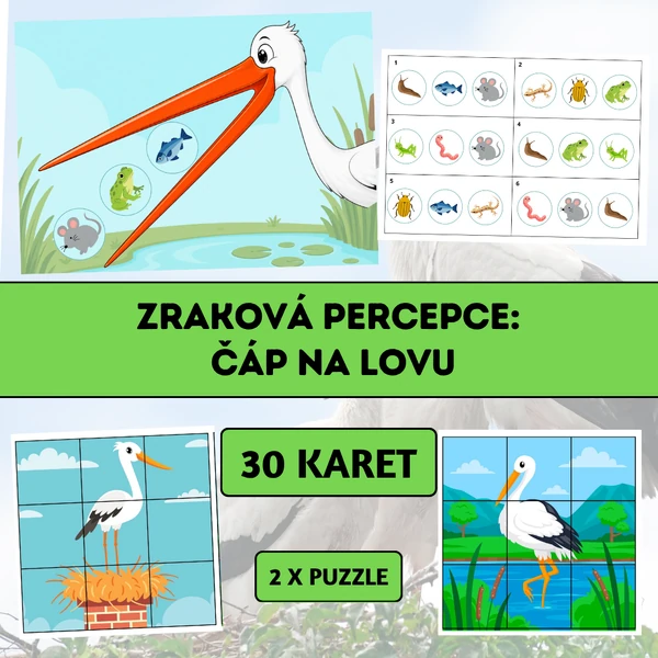 Zraková percepce: Čáp na lovu