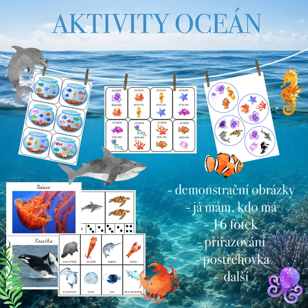 Aktivity oceán
