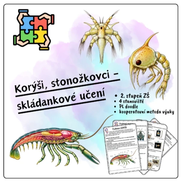 Korýši, stonožkovci - skládankové učení