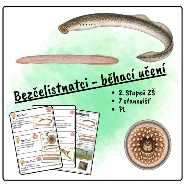Bezčelistnatci - běhací učení