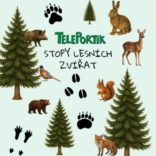 Stopy lesních zvířat 