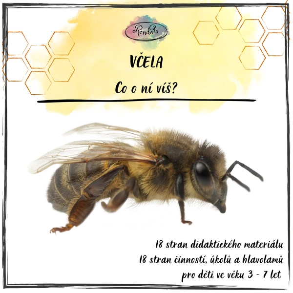 VČELA - Co o ní víš?