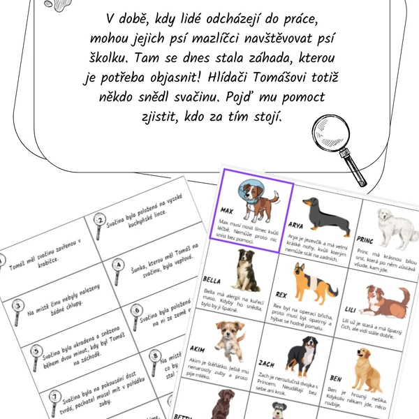 Detektivní příběh- záhada zmizelé svačiny