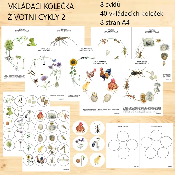 vkládací kolečka ŽIVOTNÍ CYKLY 2
