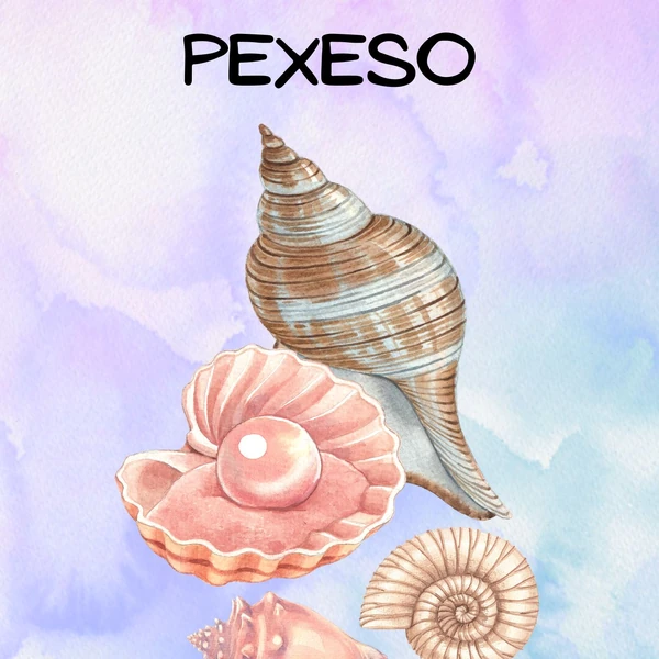 Mořské pexeso 