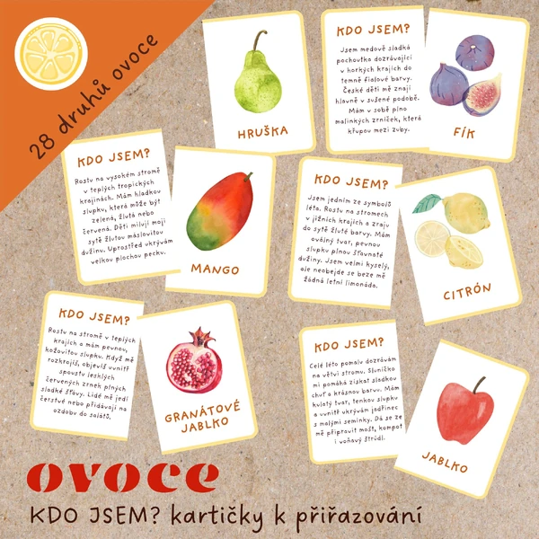 KDO JSEM? OVOCE - KARTIČKY K PŘIŘAZOVÁNÍ