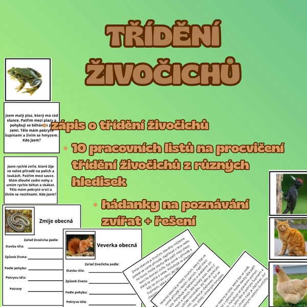 TŘÍDĚNÍ ŽIVOČICHU 
