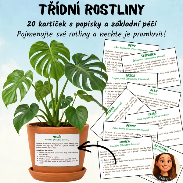 Třídní rostliny - kartičky s popisky