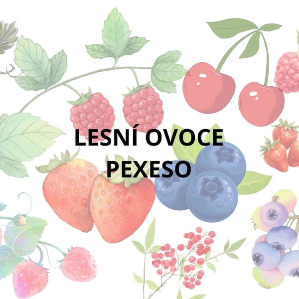 🍓 Pexeso – Lesní ovoce