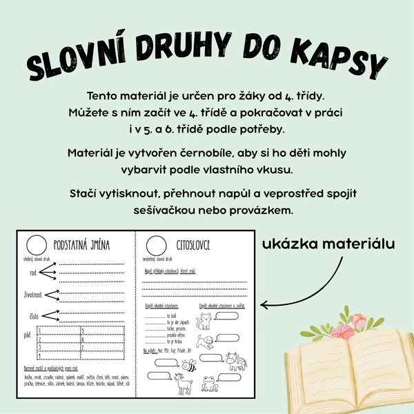 SLOVNÍ DRUHY DO KAPSY 