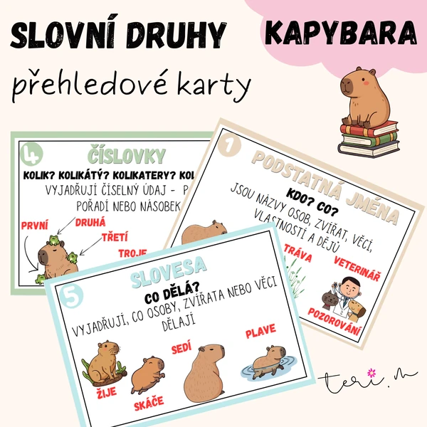 SLOVNÍ DRUHY - téma KAPYBARA