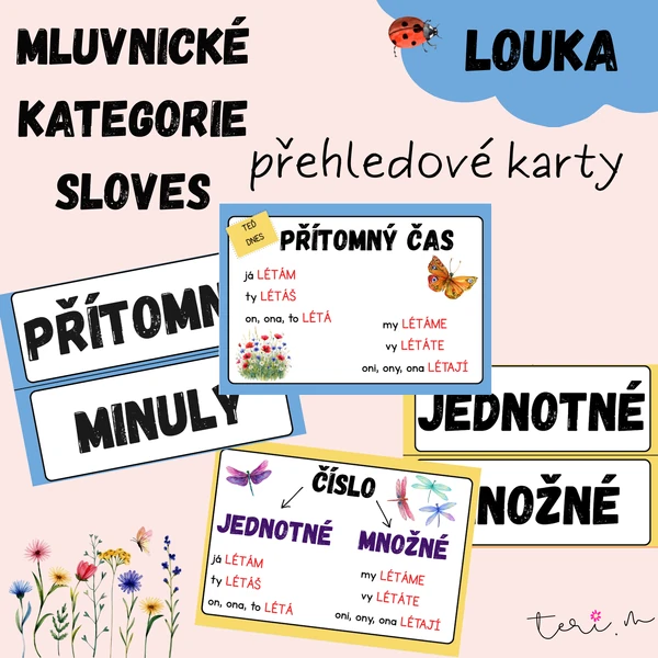 MLUVNICKÉ KATEGORIE SLOVES - téma LOUKA