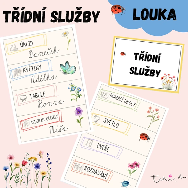 TŘÍDNÍ SLUŽBY - téma LOUKA