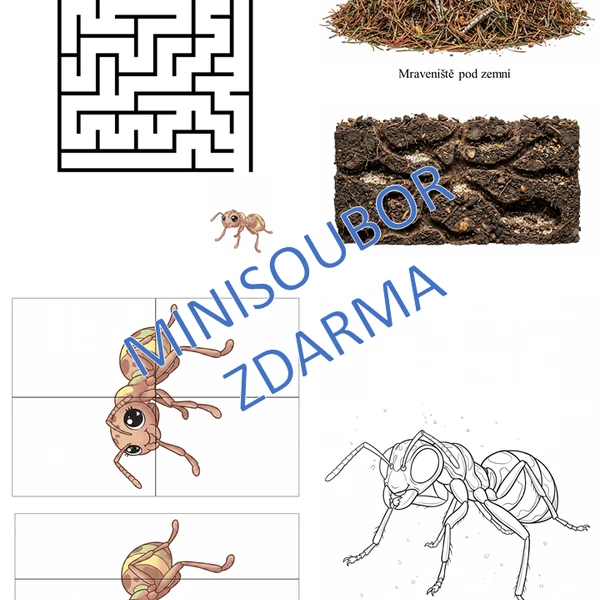 Mini soubor ZÁBAVNÉ AKTIVITY S MRAVENCI
