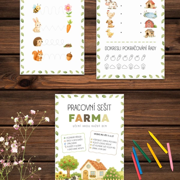Pracovní sešit - FARMA