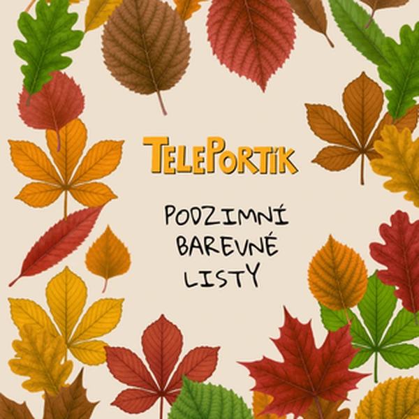 Podzimní barevné listy 