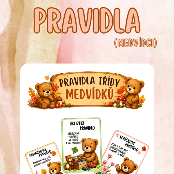 Pravidla (medvídci)