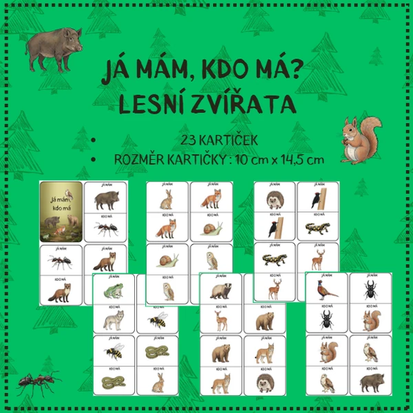 Já mám, kdo má? - LESNÍ ZVÍŘATA