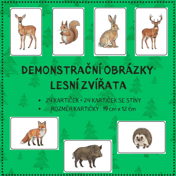 LESNÍ ZVÍŘATA - demonstrační obrázky
