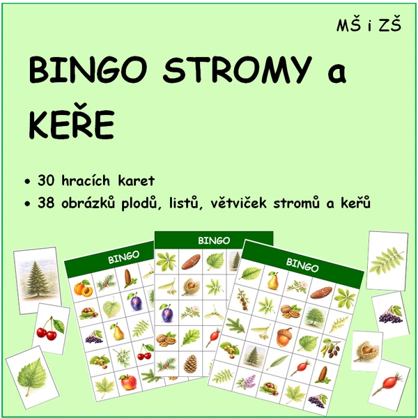 BINGO STROMY A KEŘE