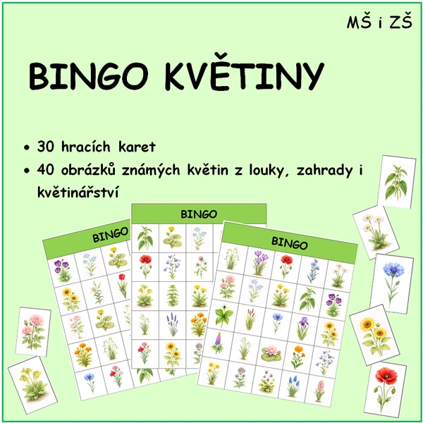 BINGO KVĚTINY