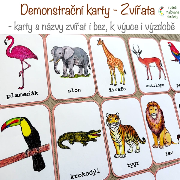 Demonstrační karty - Zvířata