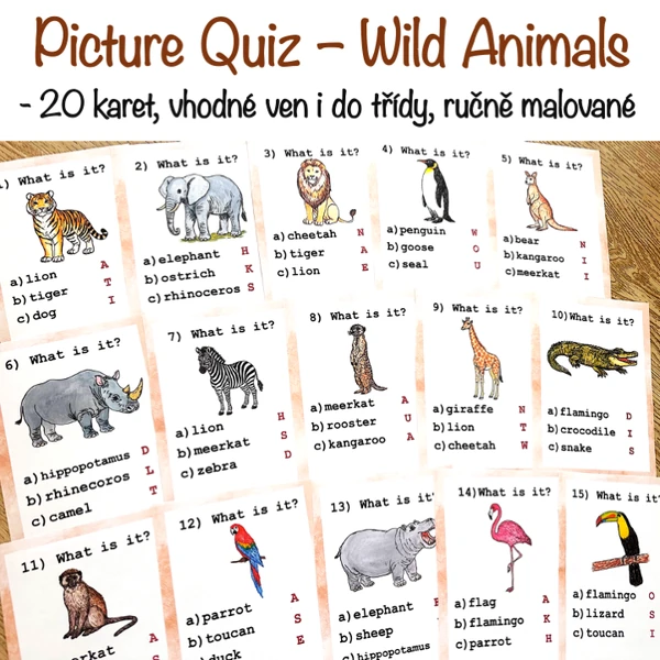 Picture quiz - Wild Animals
