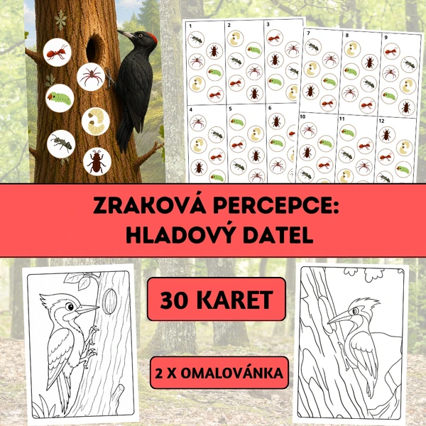 Zraková percepce: Hladový datel