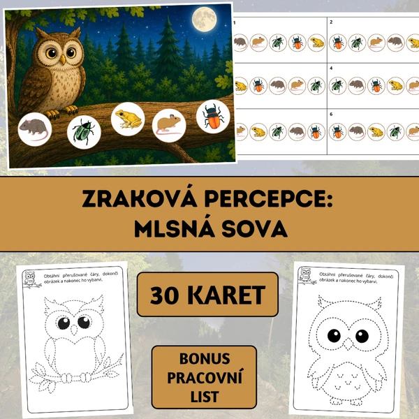 Zraková percepce: Mlsná sova