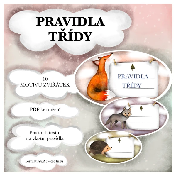 Pravidla třídy 