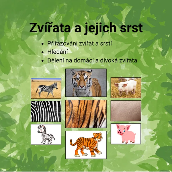 Zvířata, kůže