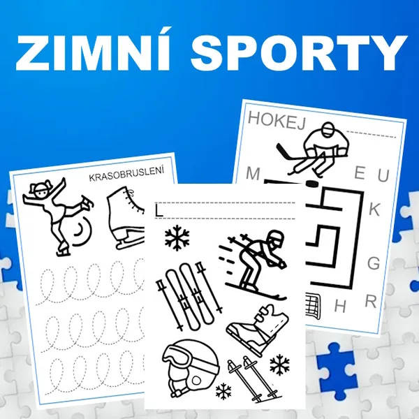 Zimní sporty