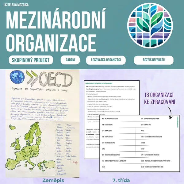 Mezinárodní organizace