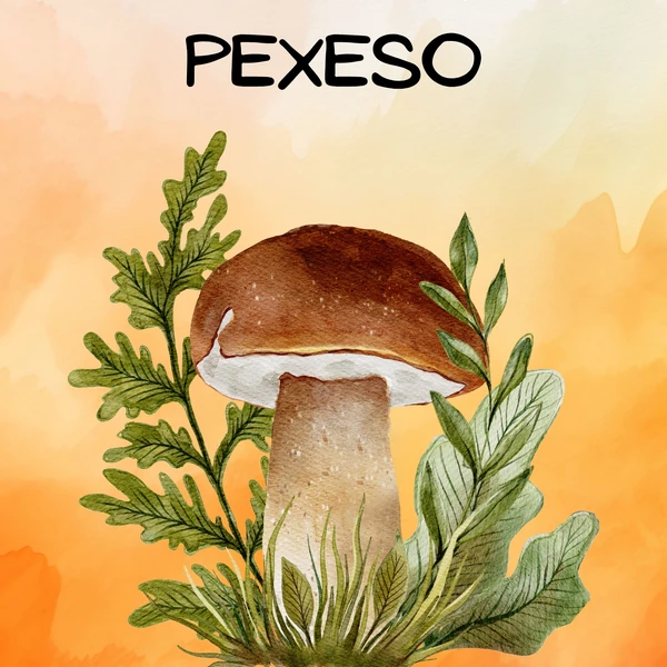 Podzimní pexeso